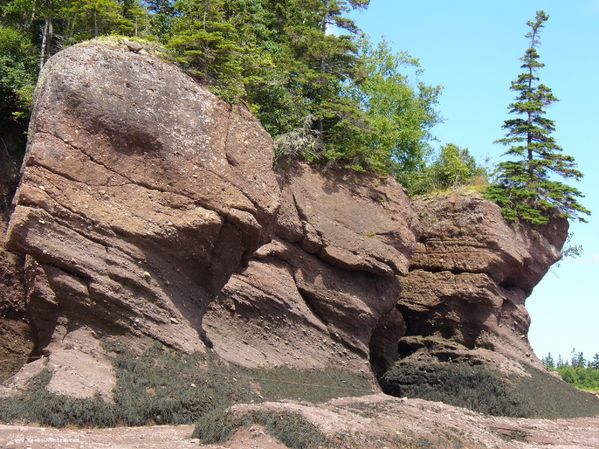 Le rocher E.T. (Hopewell Rocks)