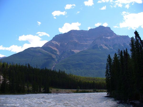 Rivière Athabasca
